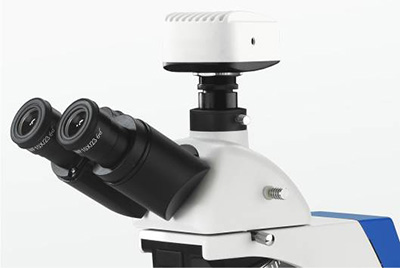 BK6000 Series Biological Microscope (2).jpg