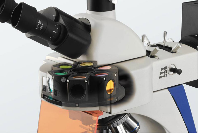 BK6000 Series Biological Microscope (5).jpg