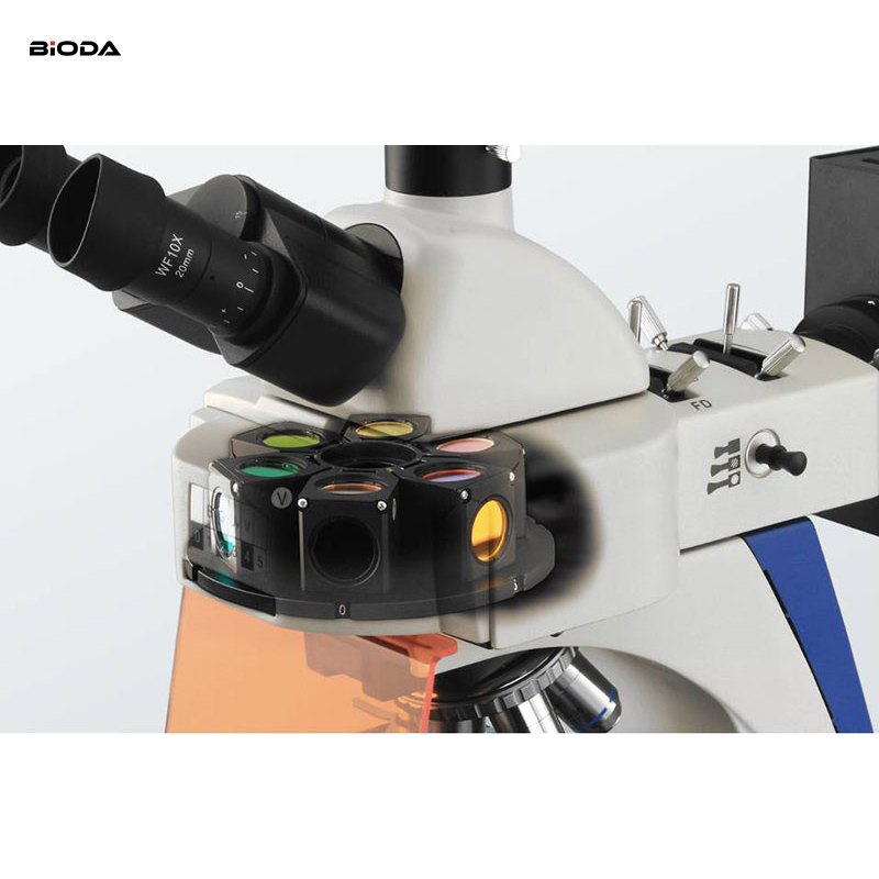 Optical Clinical Diagnostics Cell Molecular Biology Biological Trinocular Fluorescence Microscope