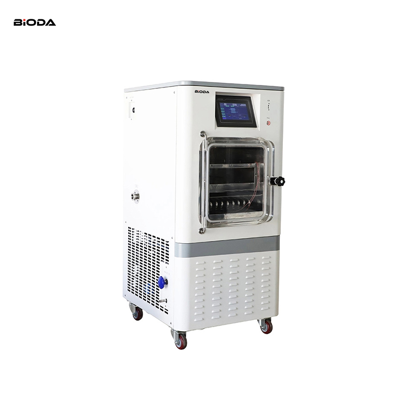 SY-10FD Electric-Heating Freeze Dryer