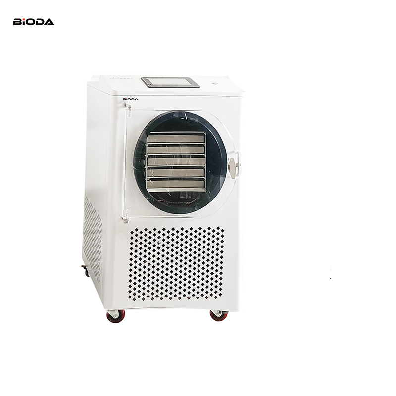 HFD-6 6kg Food Freeze Dryer